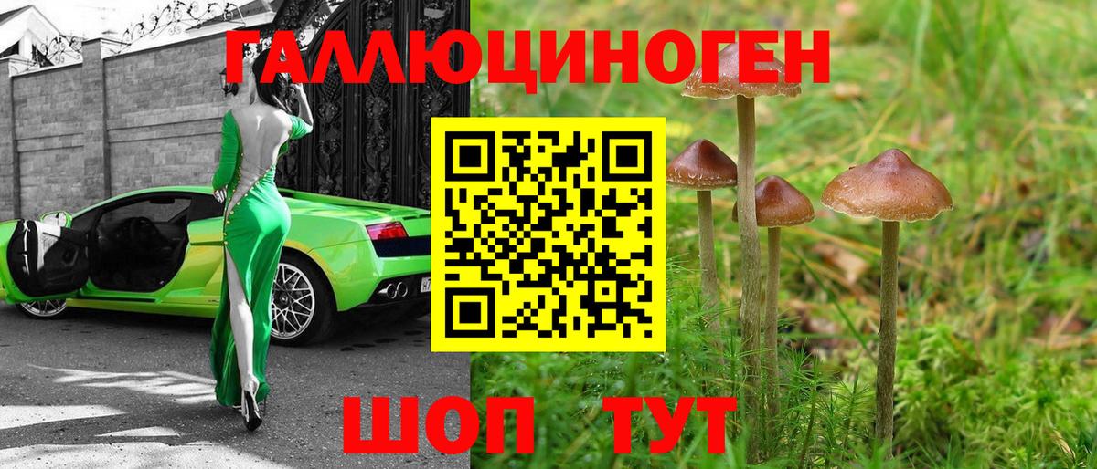 Псилоцибиновые грибы MAGIC MUSHROOMS  Вход с VPN  Краснокамск 
