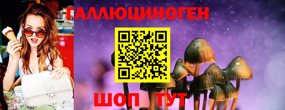 Галлюциногенные грибы Psilocybine cubensis Краснокамск